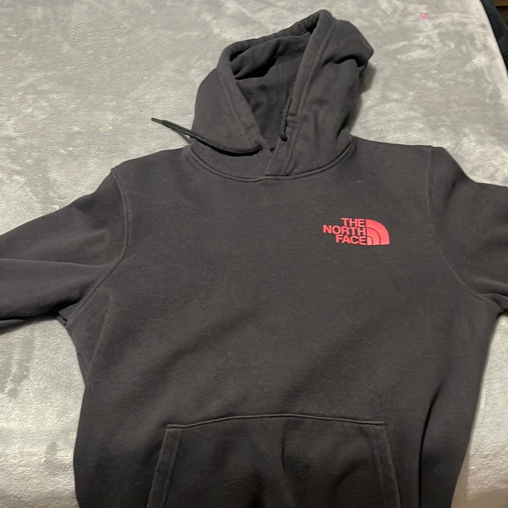 the north face hoodie